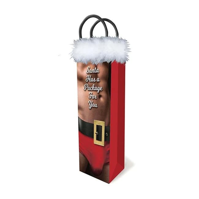 Santa Has a Big Package for You Gift Bag - Image 1 Santa Has a Big Package for You Gift Bag - Image 1