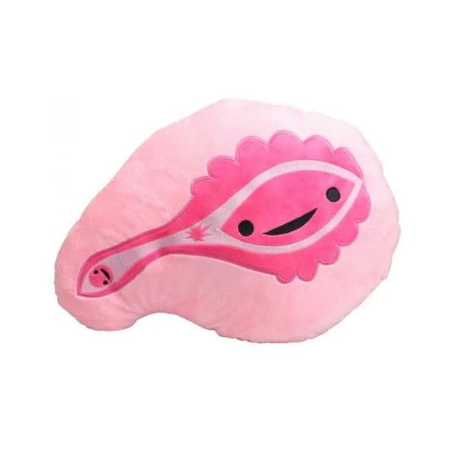 Sli Pussy Pillow Plushie with Storage Pouch Pink, image 1