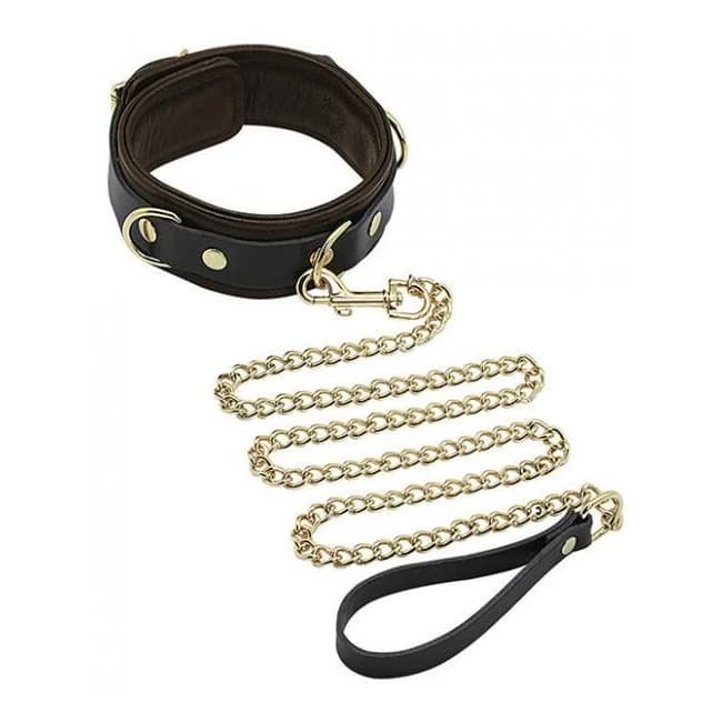 Spartacus Collar & Leash Brown Leather Gold Accent Hardware - Image 1 Spartacus Collar & Leash Brown Leather Gold Accent Hardware - Image 1