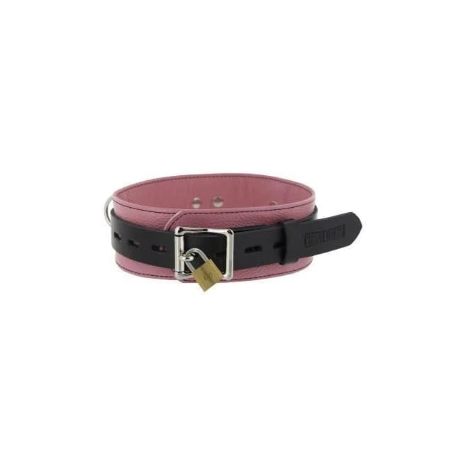 Strict Leather Deluxe Locking Collar - Pink and Black, image 1