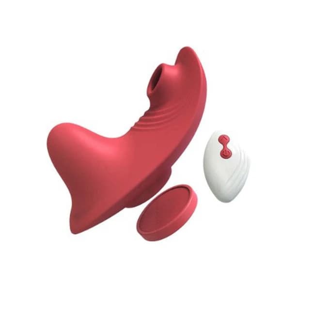 Sweet Secret Sucking Panty Vibe W/ Remote Control, image 1