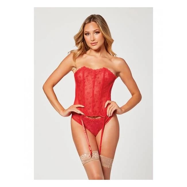Valentines Heart Embroidered Mesh Bustier & Panty Red Md, image 1
