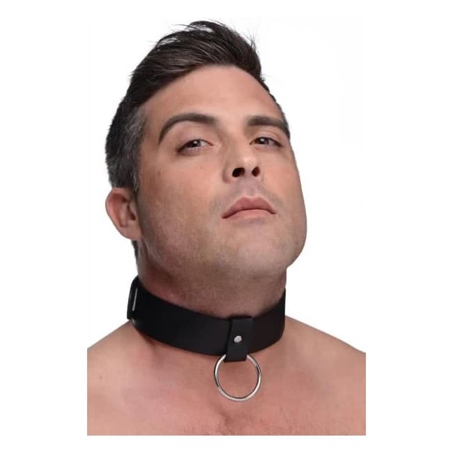 Collars & Leashes