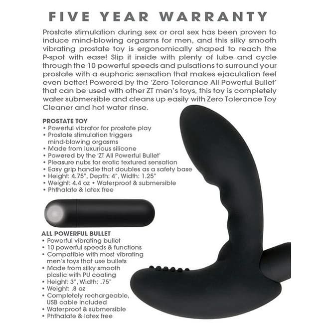 Zero Tolerance Eternal P Spot Prostate Massager Black, image 1
