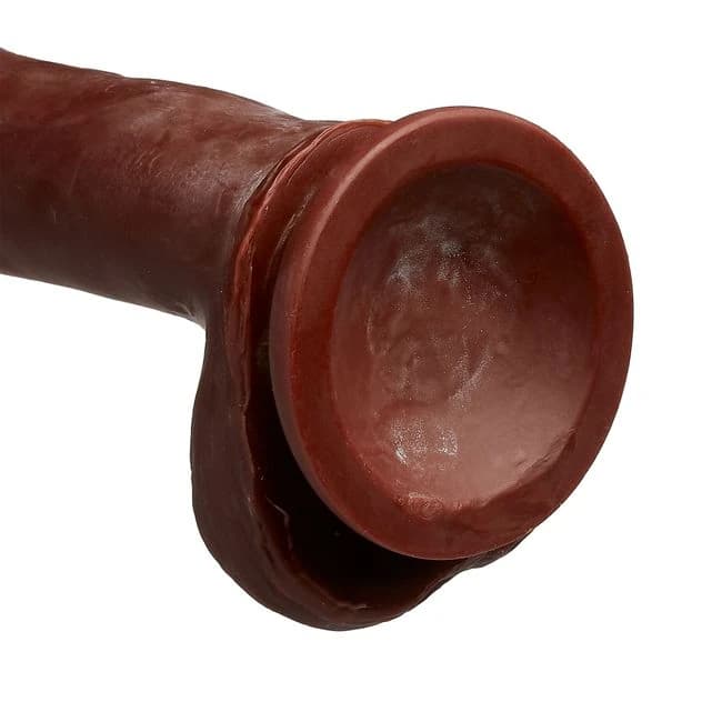 Cloud 9 Dual Density Dildo Touch 7in W/ Balls Brown, image 1