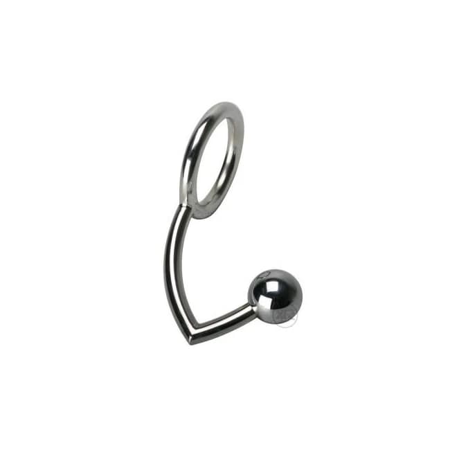 (wd) Master Series Anus Intrud - Image 1