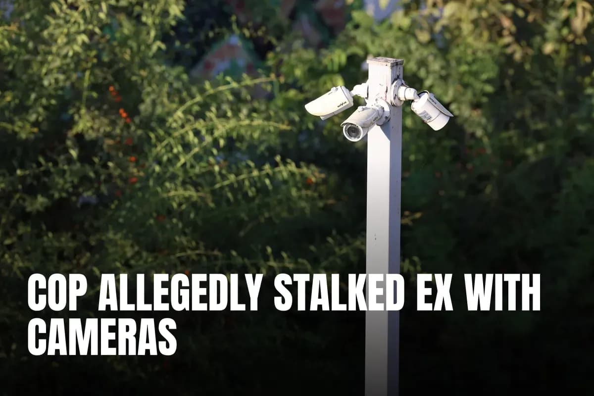 Cluster of surveillance cameras mounted outdoors amidst green foliage for public safety.