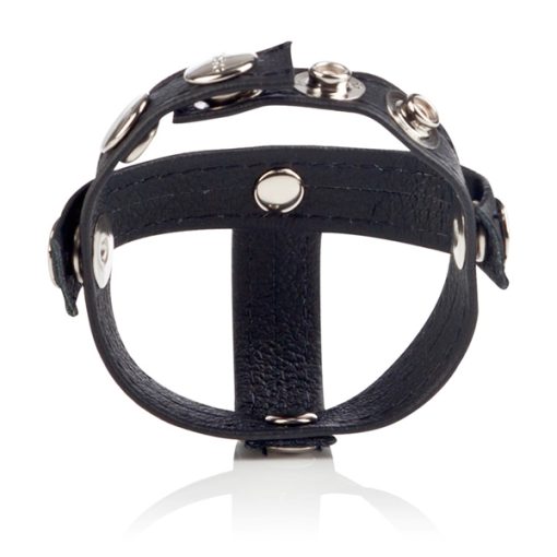 COLT LEATHER H-PIECE DIVIDER - Image 3