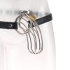 The Prisoner Metal Chastity Cage 1