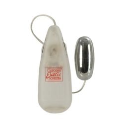 (BULK) BULLET CLEAR CASE main