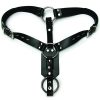 BUTT PLUG HARNESS W/COCK RING main