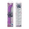CLASSIC CHIC STANDARD G PURPLE details