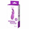 CRAZY BUNNY RECHARGEABLE MINI VIBE PURFECTLY PURPLE back