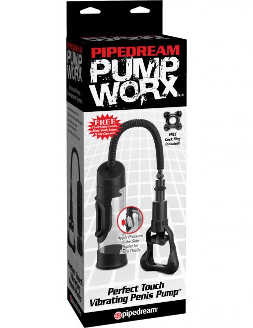(D) PUMP WORX PERFECT TOUCH VI