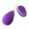 FANTASY FOR HER REMOTE KEGEL EXCITE-HER details