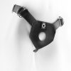 KING COCK PLAY HARD HARNESS back
