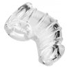 MASTER SERIES DETAINED CHASTITY CAGE back