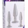 PRISMS DOSHA 3 PIECE GLASS ANAL PLUG KIT male Q