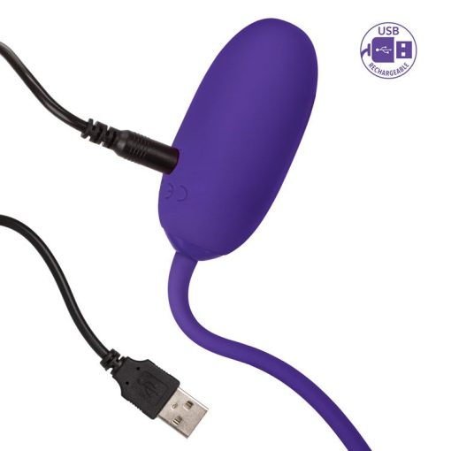 RECHARGEABLE KEGEL BALL STARTER PURPLE male Q