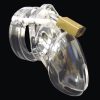 CB-6000S Male Chastity Device 2.5 inches Cock Cage and Lock Set Clear main