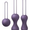 Je Joue Ami Progressive Pelvic Weights Purple main