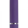 Petite Purple Passion Bullet Vibrator main