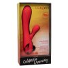 California Dreaming Palisades Passion - Image 3