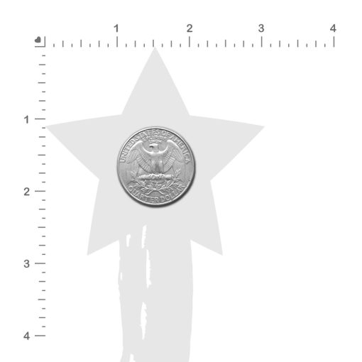 Pastease Star Tassel Black - Image 3